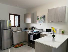 Townhouse for Rent St. Ann, Discovery Bay