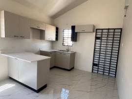 House for Rent St. Catherine, Phoenix Park