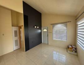 House for Rent St. Catherine, Phoenix Park