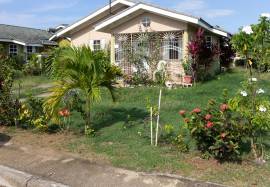 House for Rent St. Ann, Mammee Bay
