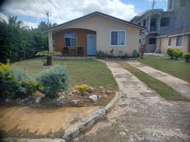 House for Rent Trelawny, Falmouth