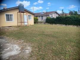 House for Rent Trelawny, Falmouth