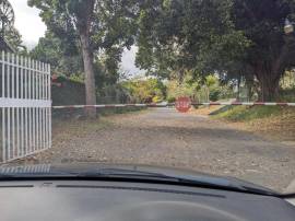 Apartment for Rent Kingston & St. Andrew, Kingston