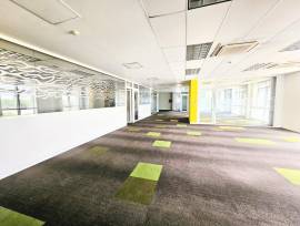 Warehouse for Rent Kingston &amp; St. Andrew, King