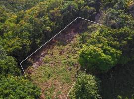 Residential Lot for Rent Portland, PRIESTMAN RIVER