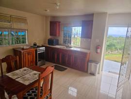 House for Rent St. James, Montego Bay