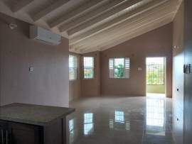 House for Rent Trelawny, Falmouth