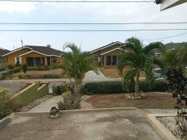 House for Rent Trelawny, Falmouth