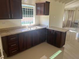 House for Rent Trelawny, Falmouth