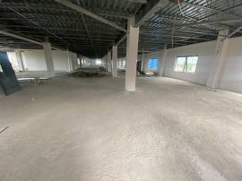 Commercial Bldg/Offices for Rent Kingston &amp; St