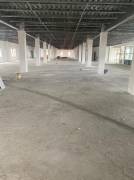 Commercial Bldg/Offices for Rent Kingston &amp; St