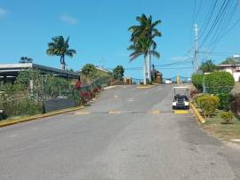 House for Rent Trelawny, STONEBROOK VISTA