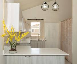 House for Rent St. Catherine, Phoenix Park