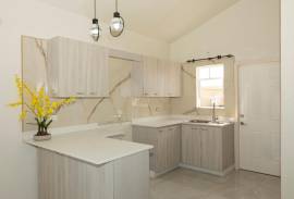 House for Rent St. Catherine, Phoenix Park