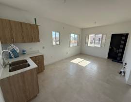 House for Rent St. Catherine, Bushy Park