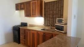 House for Rent Trelawny, STONEBROOK VISTA