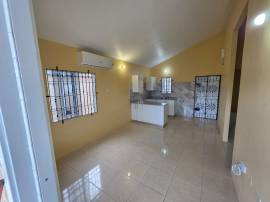 House for Rent St. Catherine, Phoenix Park