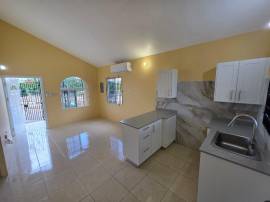 House for Rent St. Catherine, Phoenix Park