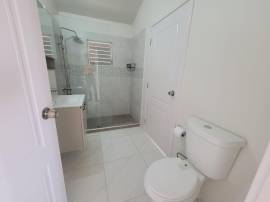 House for Rent St. Catherine, Phoenix Park