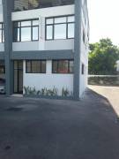 Commercial Bldg/Offices for Rent Kingston & St. An