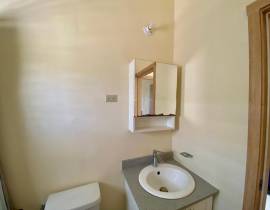 House for Rent St. Catherine, Phoenix Park