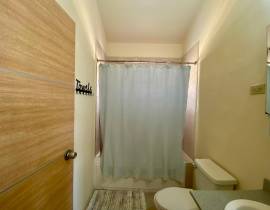 House for Rent St. Catherine, Phoenix Park