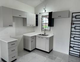 House for Rent St. Catherine, Phoenix Park