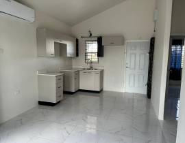 House for Rent St. Catherine, Phoenix Park