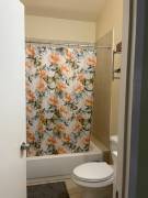 House for Rent St. Catherine, Dunbeholding