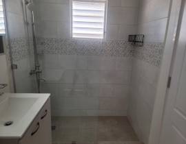 House for Rent St. Catherine, Phoenix Park