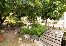 Apartment for Rent Kingston & St. Andrew, Kingston