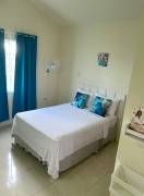 House for Rent St. Catherine, Phoenix Park