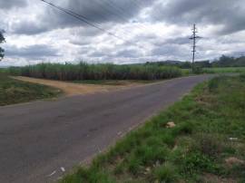 Farm/Agriculture for Rent St. Elizabeth, Bartons