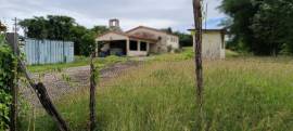 Farm/Agriculture for Rent St. Elizabeth, Bartons