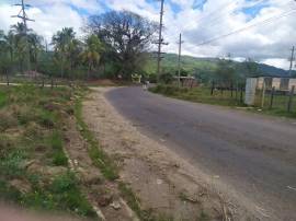 Farm/Agriculture for Rent St. Elizabeth, Bartons