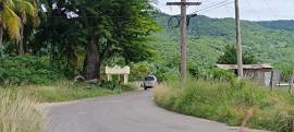 Farm/Agriculture for Rent St. Elizabeth, Bartons