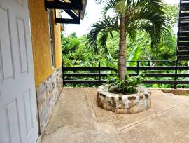 Apartment for Rent Kingston & St. Andrew, Kingston