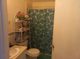 House for Rent St. James, Montego Bay