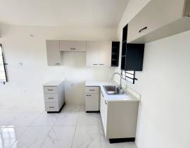 House for Rent St. Catherine, Phoenix Park