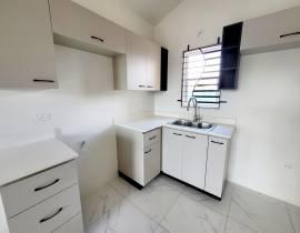 House for Rent St. Catherine, Phoenix Park