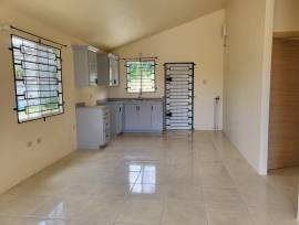 House for Rent St. James, Montego Bay