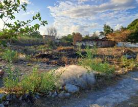 Commercial Lot for Rent St. Thomas, Yallahs