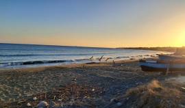 Commercial Lot for Rent St. Thomas, Yallahs