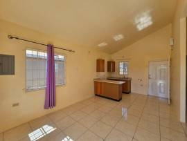 House for Rent St. Catherine, Phoenix Park