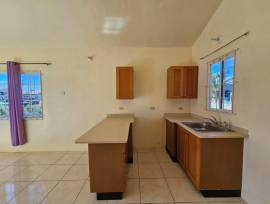 House for Rent St. Catherine, Phoenix Park