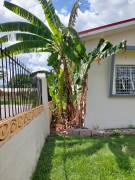 House for Rent Kingston & St. Andrew, Kingston 8
