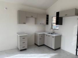 House for Rent St. Catherine, Phoenix Park