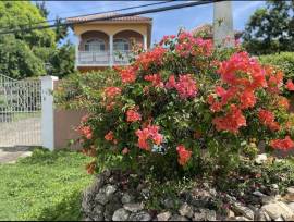 Apartment for Rent St. James, Montego Bay