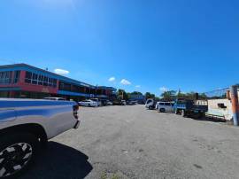 Commercial Bldg/Offices for Rent Clarendon, May Pe