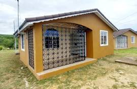 House for Rent Trelawny, Falmouth